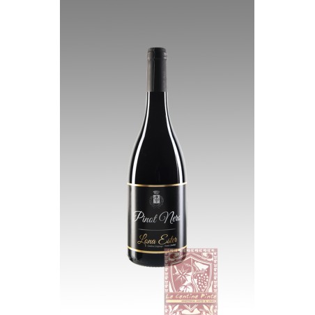 PINOT NERO 2017 LONA ESTER- ZANOTELLI