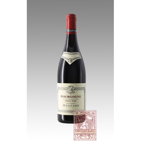 BOURGOUGNE PINOT NOIR 2022 . REGNARD