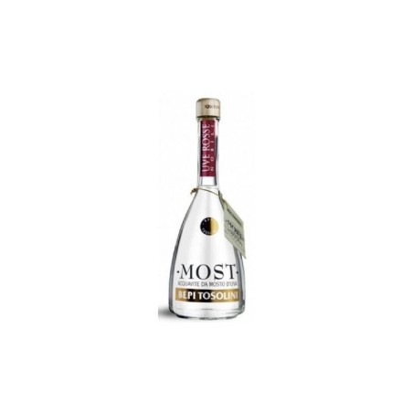 MOST ACQUAVITE MOSTO DI UVE ROSSE ASTUCCIATA - BEPI TOSOLINI