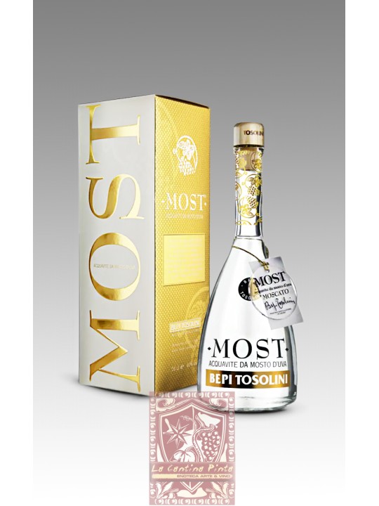 MOST ACQUAVITE MOSTO DI MOSCATO ROSA - BEPI TOSOLINI