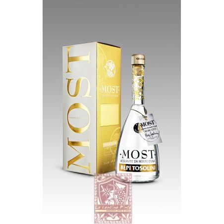 MOST ACQUAVITE MOSTO DI MOSCATO ROSA - BEPI TOSOLINI