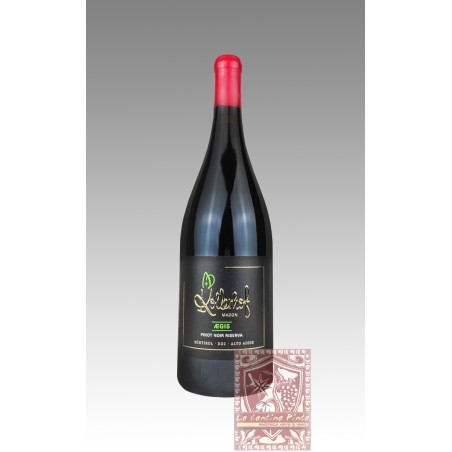 PINOT NERO AEGIS RISERVA 2019 - KOLLERHOF