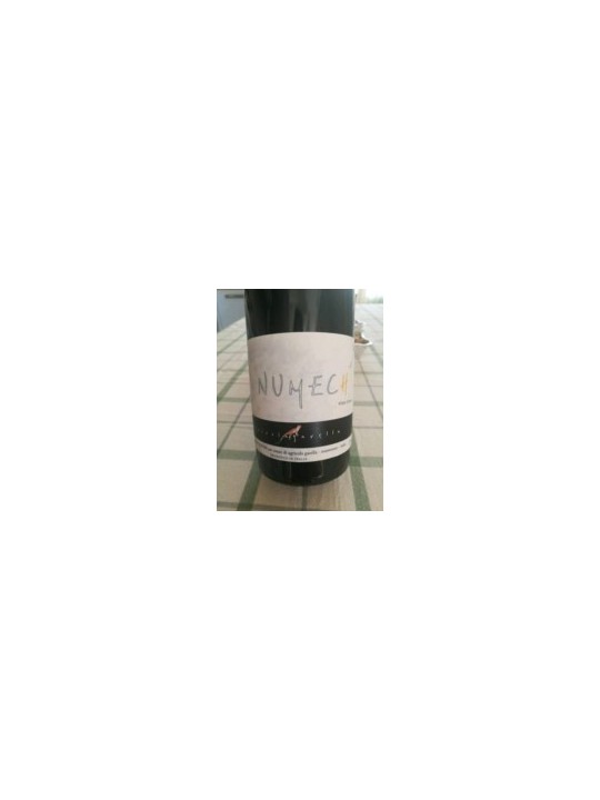NEBBIOLO NUMECH VINO ROSSO BIO AGRICOLA GARELLA