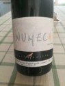 NEBBIOLO NUMECH VINO ROSSO BIO AGRICOLA GARELLA
