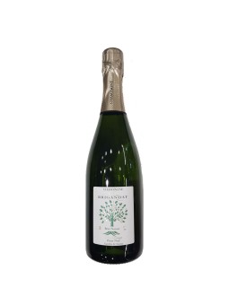 CHAMPAGNE BRUT NATURE PIERRE BRIGANDAT ZERO DOSAGE