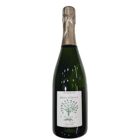 CHAMPAGNE BRUT NATURE PIERRE BRIGANDAT ZERO DOSAGE