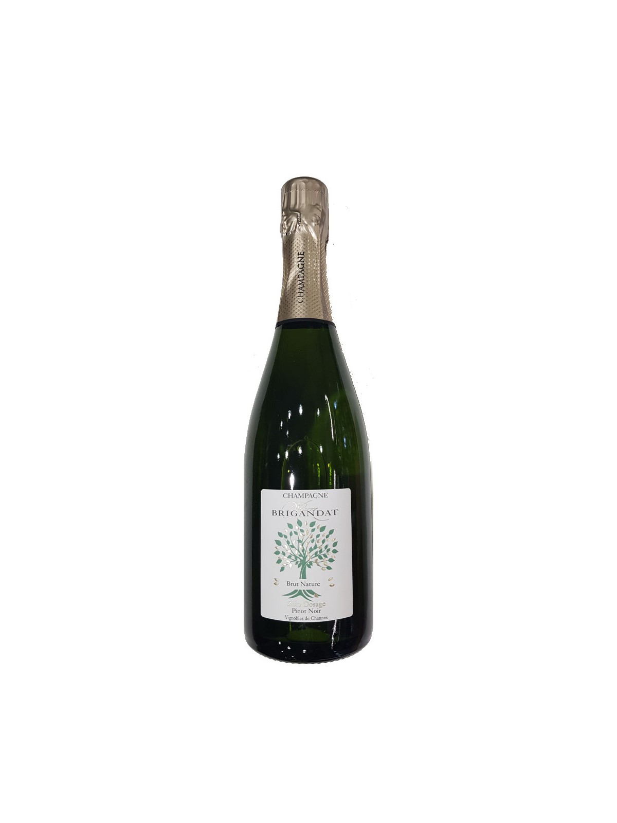 CHAMPAGNE BRUT NATURE PIERRE BRIGANDAT ZERO DOSAGE