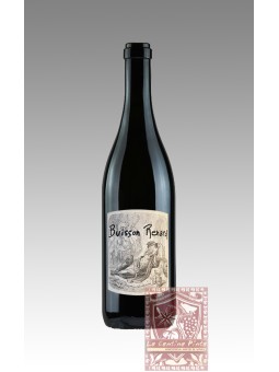 BUISSON RENARD 2022 -DOMAINE  DIDIER DAGUENEAU