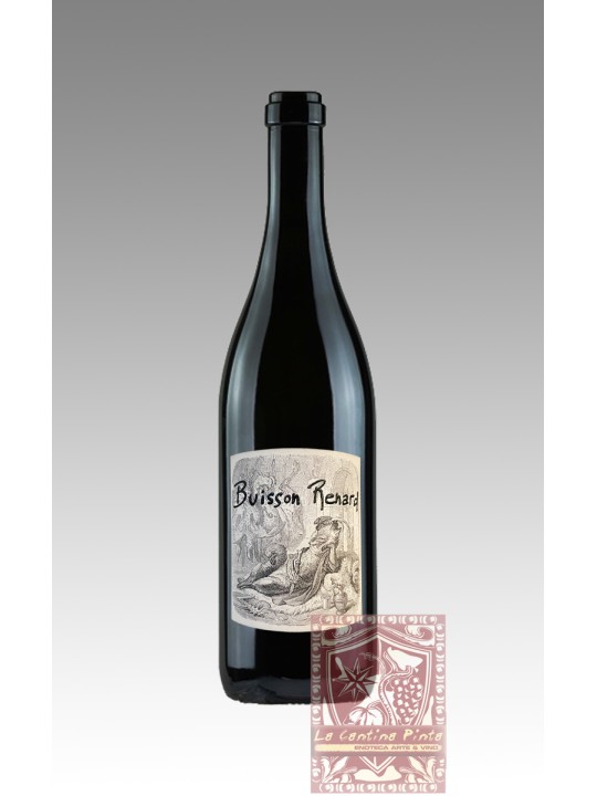 BUISSON RENARD 2022 -DOMAINE  DIDIER DAGUENEAU