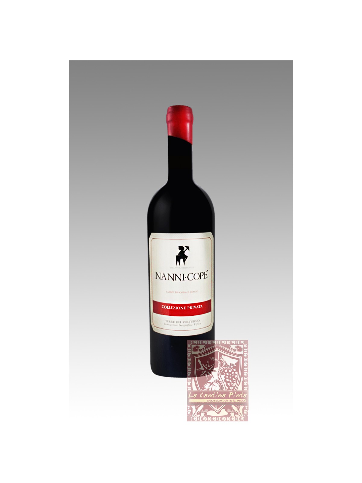 SABBIE DI SOPRA AL BOSCO COLLEZIONE PRIVATA 2016 - NANNI COPE'