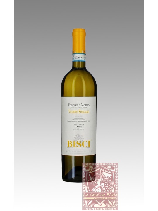VIGNETO FOGLIANO 2020 VERDICCHIO DI MATELICA - BISCI