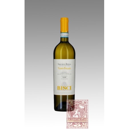 VIGNETO FOGLIANO 2020 VERDICCHIO DI MATELICA - BISCI