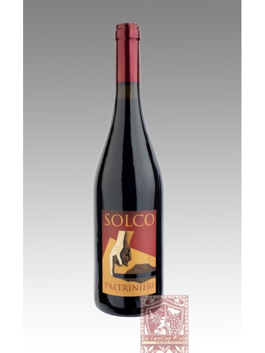 PALTRINIERI SOLCO 2019 LAMBRUSCO DELL'EMILIA