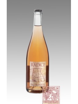 RADICE LAMBRUSCO DI SORBARA 2023 - PALTRINIERI