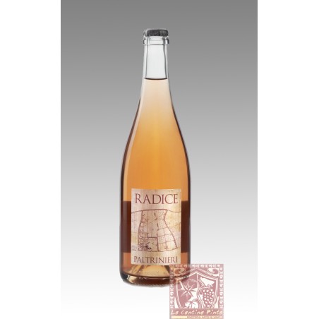 RADICE LAMBRUSCO DI SORBARA 2023 - PALTRINIERI
