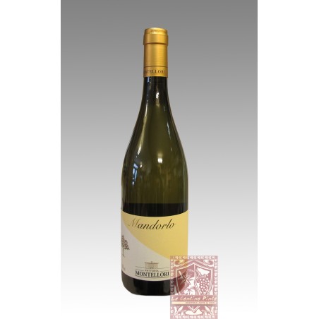 MANDORLO 2023 - FATTORIA MONTELLORI