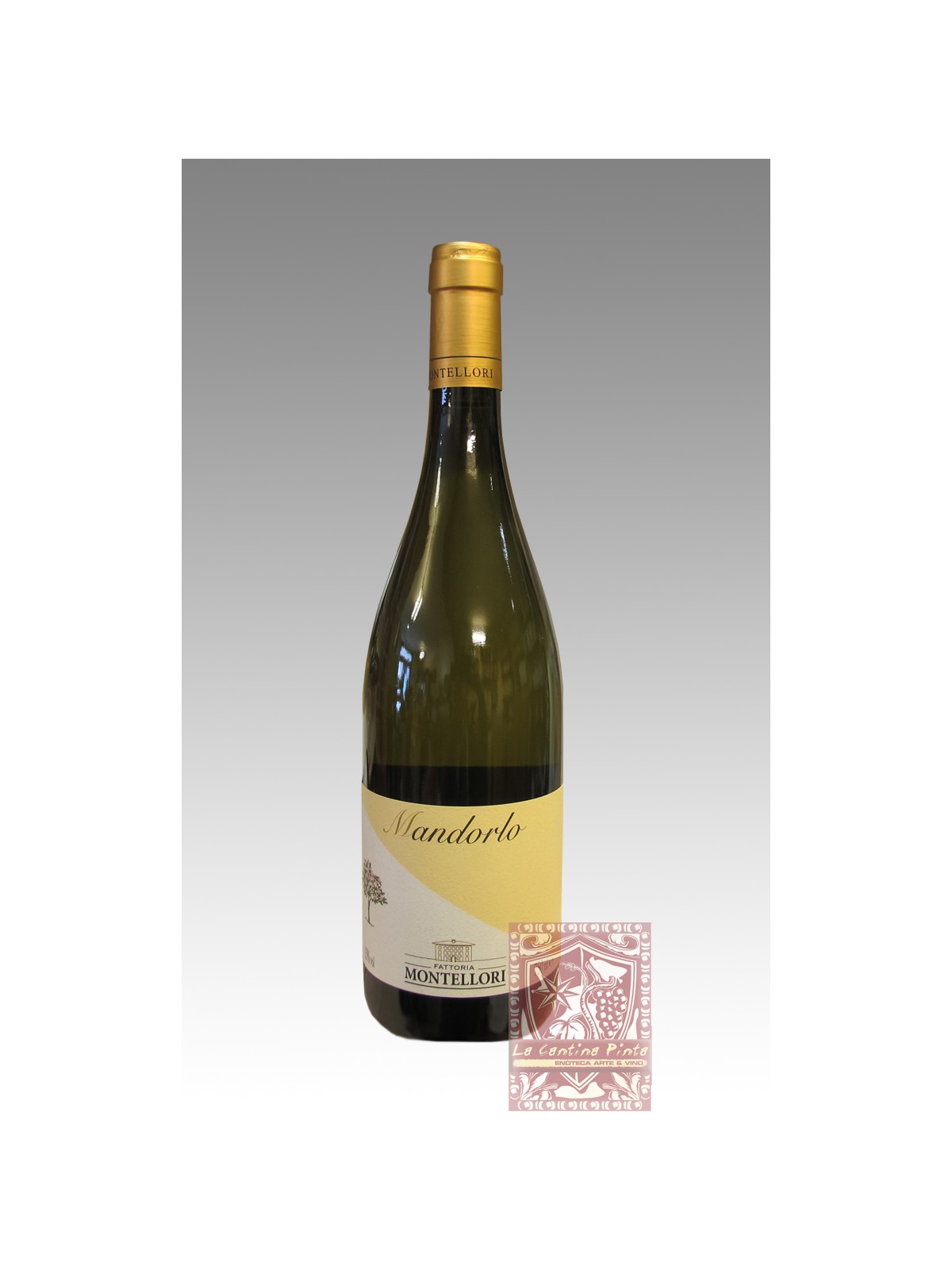 MANDORLO 2023 - FATTORIA MONTELLORI