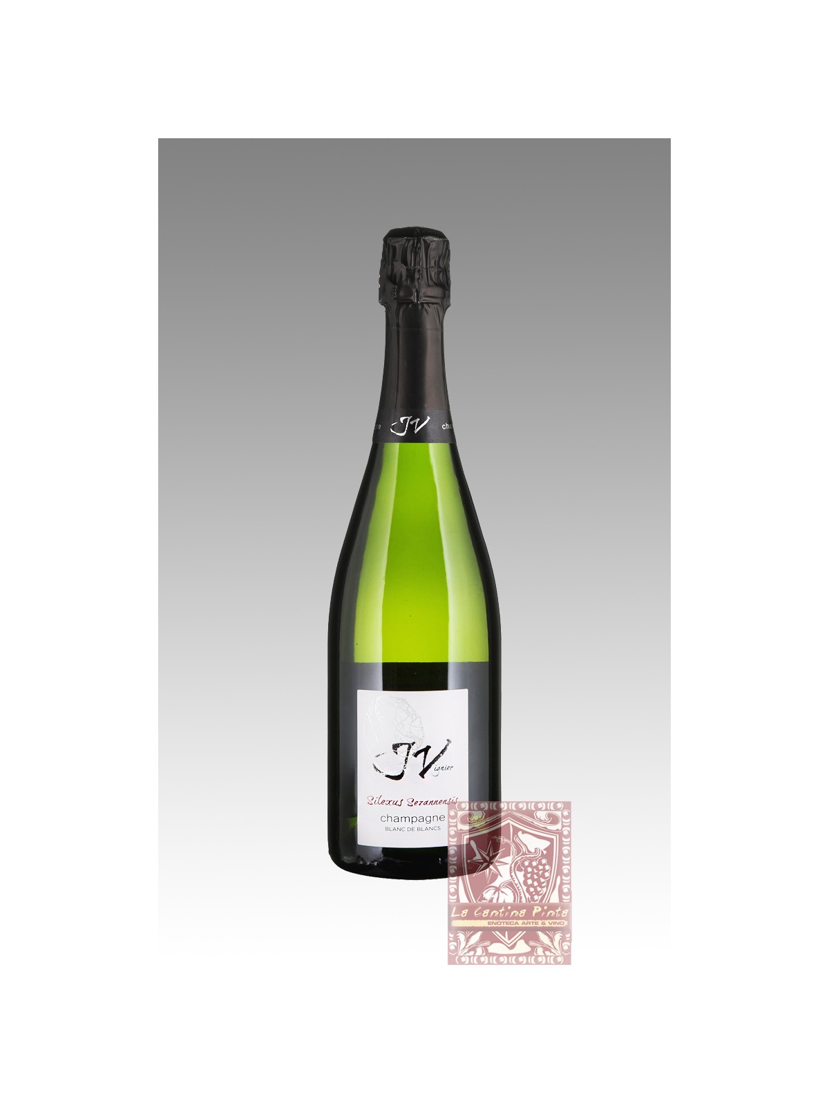 CHAMPAGNE BLANC DE BLANCS BRUT SILEXUS SEZANNENSIS - J. VIGNIER