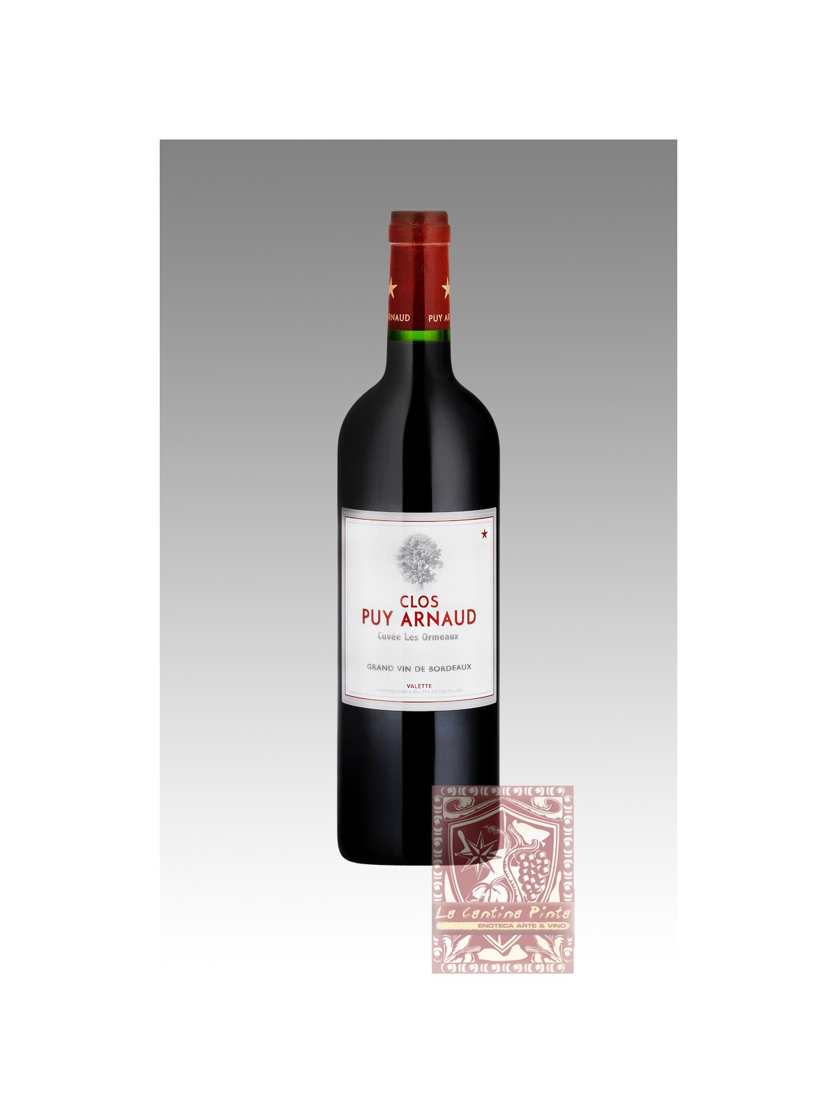CLOS PUY ARNAUD LES ORMEAUX 2021 GRAN VIN DE BORDEAUX - THIERRY VALETTE VIGNERON (Biodinamico)