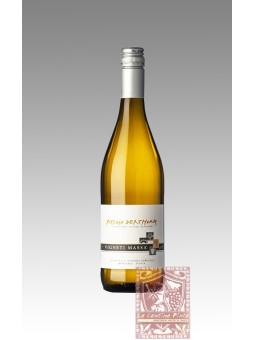 PICCOLO DERTHONA 2023 - VIGNETI MASSA