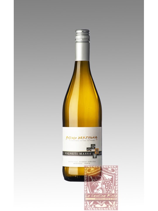 PICCOLO DERTHONA 2023 - VIGNETI MASSA