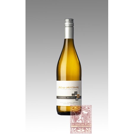 PICCOLO DERTHONA 2023 - VIGNETI MASSA