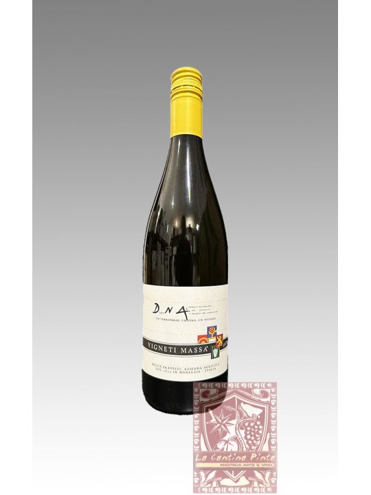 DERTHONA TIMORASSO DhNA 2022 VIGNETI MASSA