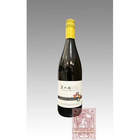 DERTHONA TIMORASSO DhNA 2022 VIGNETI MASSA
