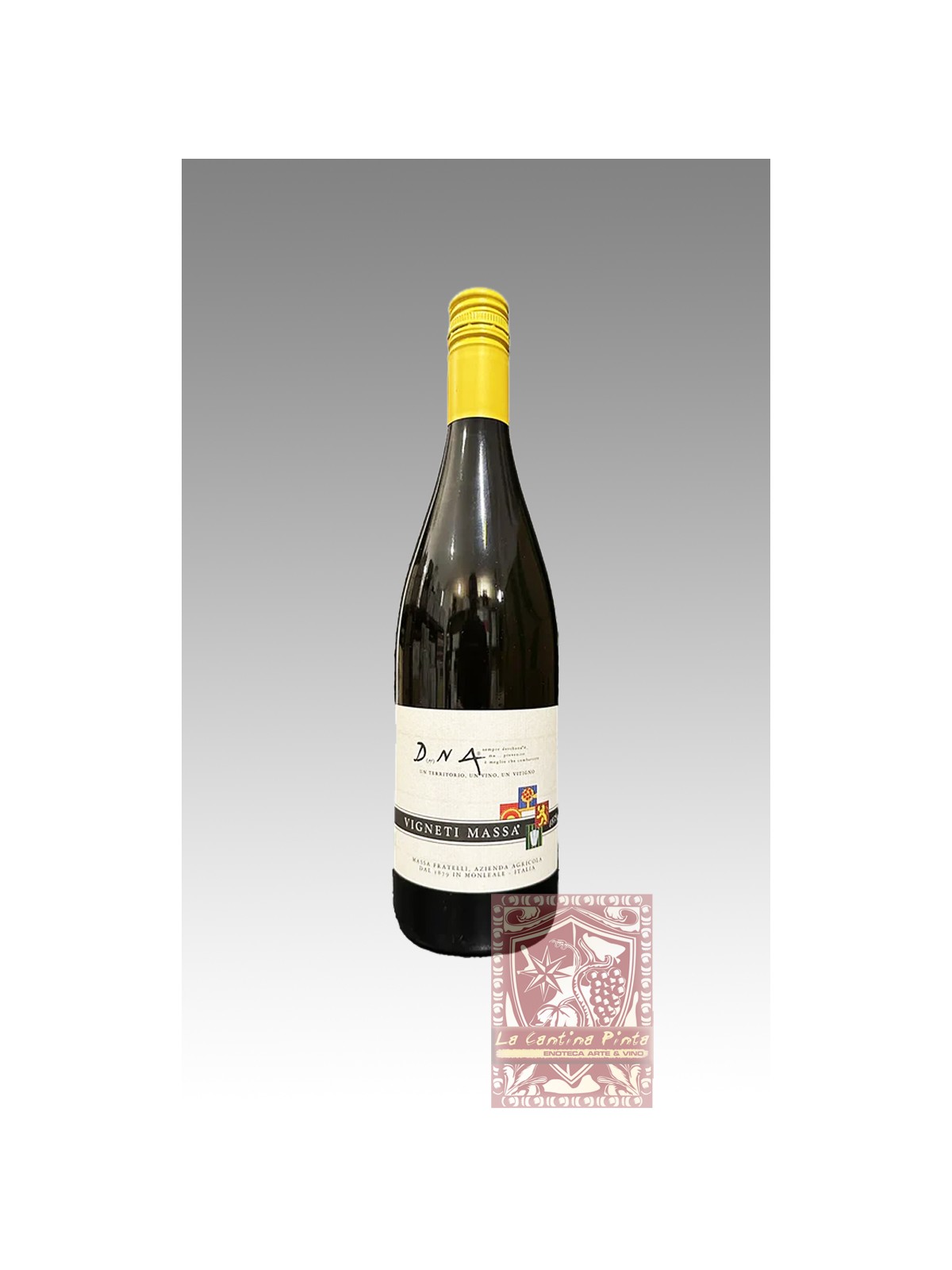 DERTHONA TIMORASSO DhNA 2022 VIGNETI MASSA