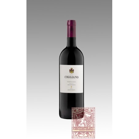 VIGLIA CIGLIANO CHIANTI CLASSICO GRAN SELEZIONE 2020 - ANTINORI