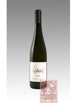 SOLARIS 2017 - KOLLERHOF