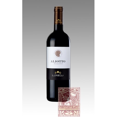 ALIOTTO 2009 TENUTA PODERNOVO