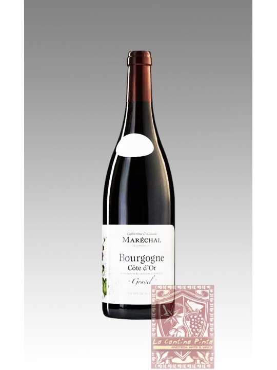 BOURGOGNE 2022 CUVEE GRAVEL - MARECHAL
