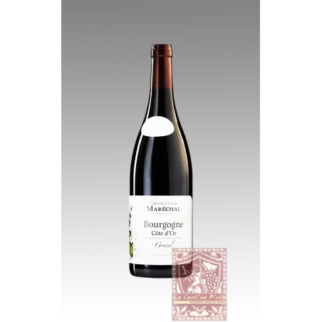 BOURGOGNE 2022 CUVEE GRAVEL - MARECHAL