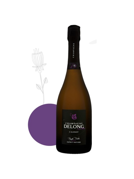 CHAMPAGNE DELONG ESPRIT NATURE PINOT MEUNIER 2017