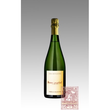 CHAMPAGNE  DELOUVIN-NOWACK MEUNIER PERPETUEL (solera 92-20)  EXTRA BRUT