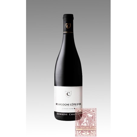 BOURGOGNE COTE D'OR PINOT NOIR 2021 - CHICOTOT