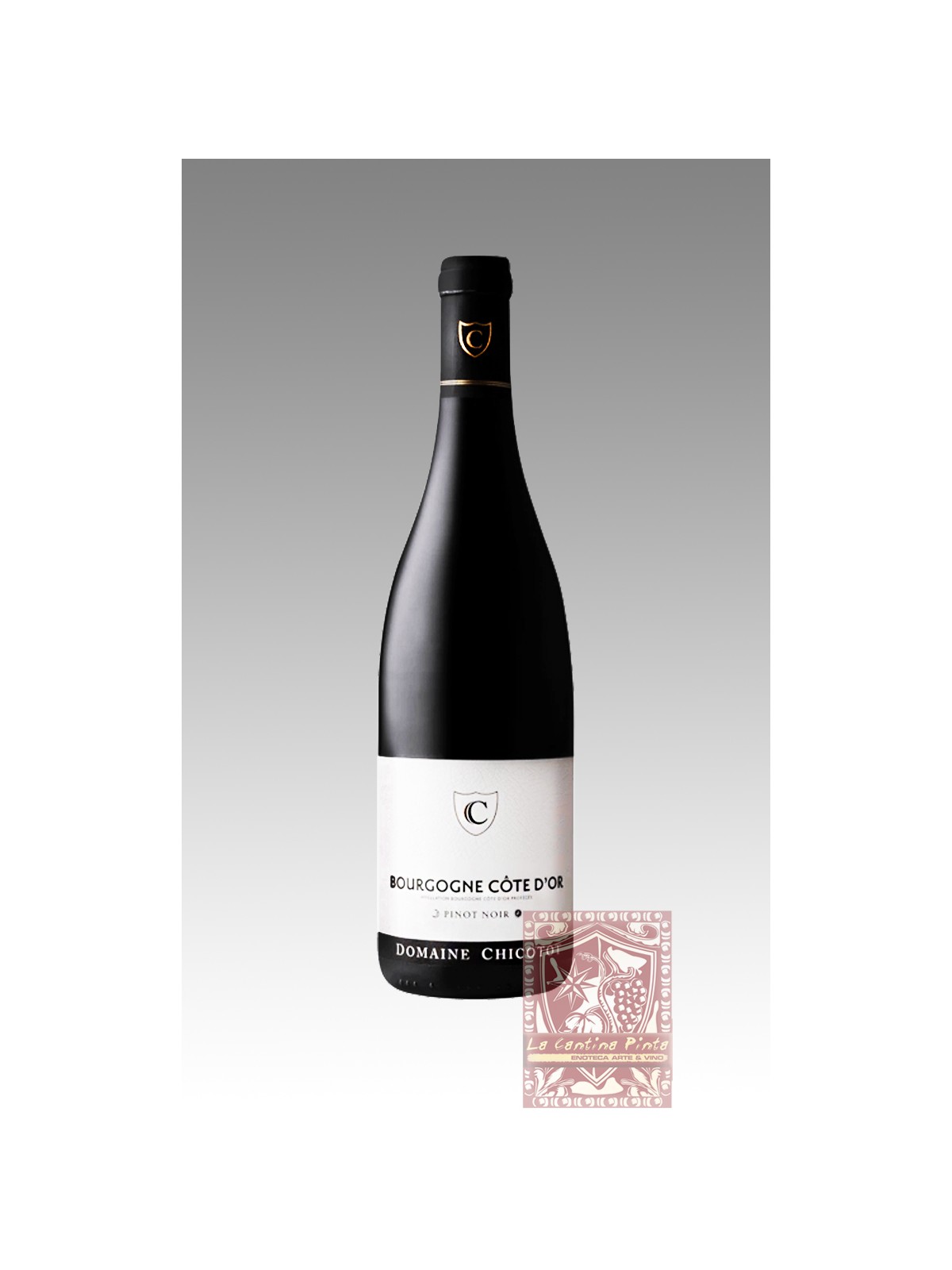 BOURGOGNE COTE D'OR PINOT NOIR 2021 - CHICOTOT