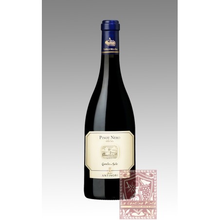 PINOT NERO DELLA SALA 2022 - CASTELLO DELLA SALA, MARCHESI ANTINORI
