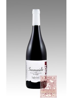 CASA PRIMIS SUSUMANIELLO 2024