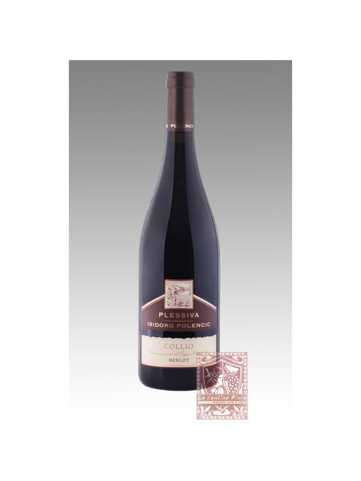 PLESSIVA  SAUVIGNON 2017 - ISIDORO POLENCIC
