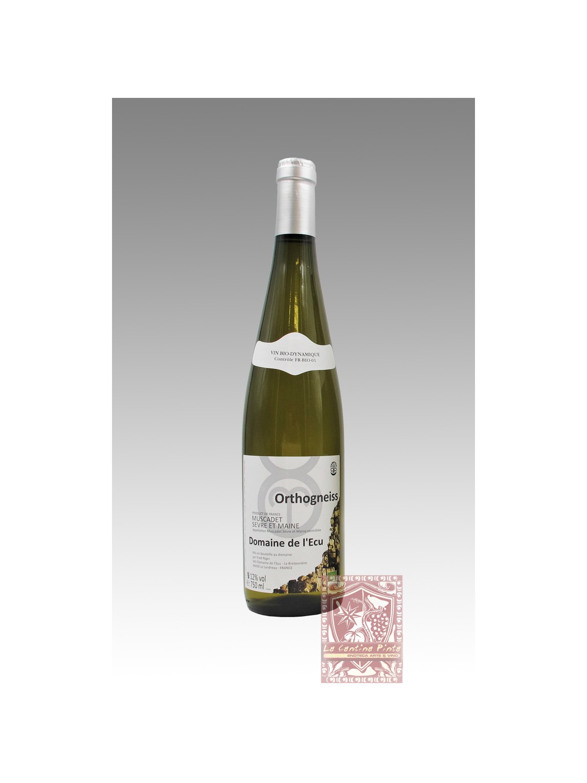 MUSCADET SEVRE ET MAINE 2018 ORTHOGNEISS - DOMAIN DE L'ECU