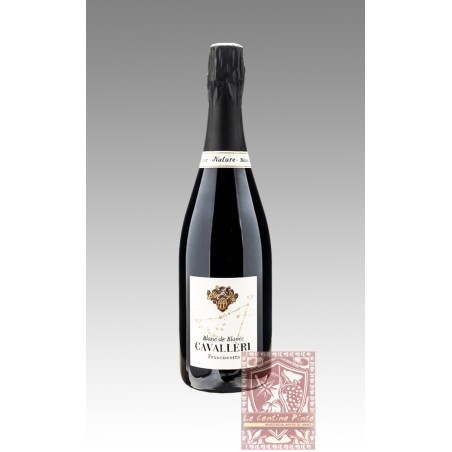 FRANCIACORTA BLANC DE BLANCS NATURE BIO - CAVALLERI
