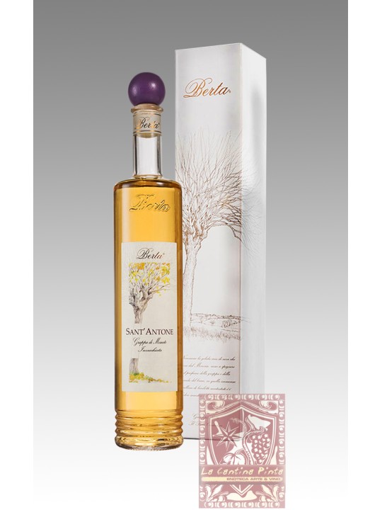 SANT'ANTONE GRAPPA INVECCHIATA DI MOSCATO - DISTILLERIE BERTA