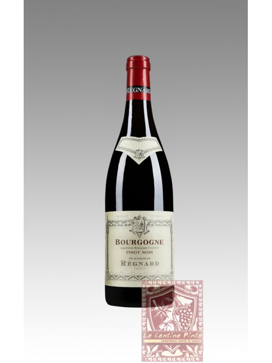 BOURGOGNE PINOT NOIR 2022 - REGNARD
