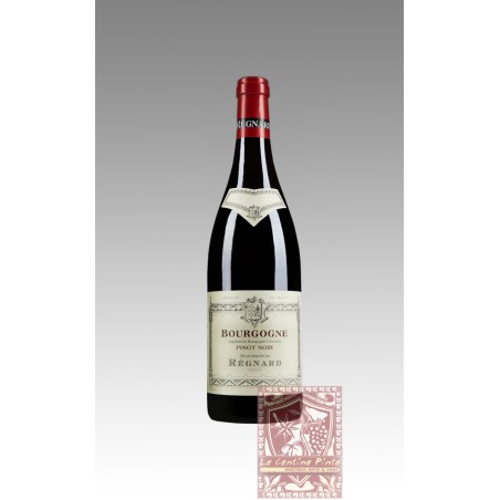 BOURGOGNE PINOT NOIR 2022 - REGNARD