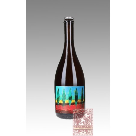 LAMBRUSCO DELL'EMILIA ROSSO RIFERMENTATO NO AUTOCLAVE - BERGIANTI