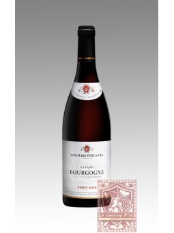 BOUCHARD PERE & FILS BOURGOGNE PINOT NOIR LA VIGNEE 2020
