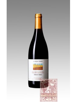 PINOT NERO 2019 - LE DUE TERRE