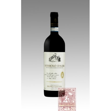 NEBBIOLO D'ALBA 2020 - BRUNO GIACOSA